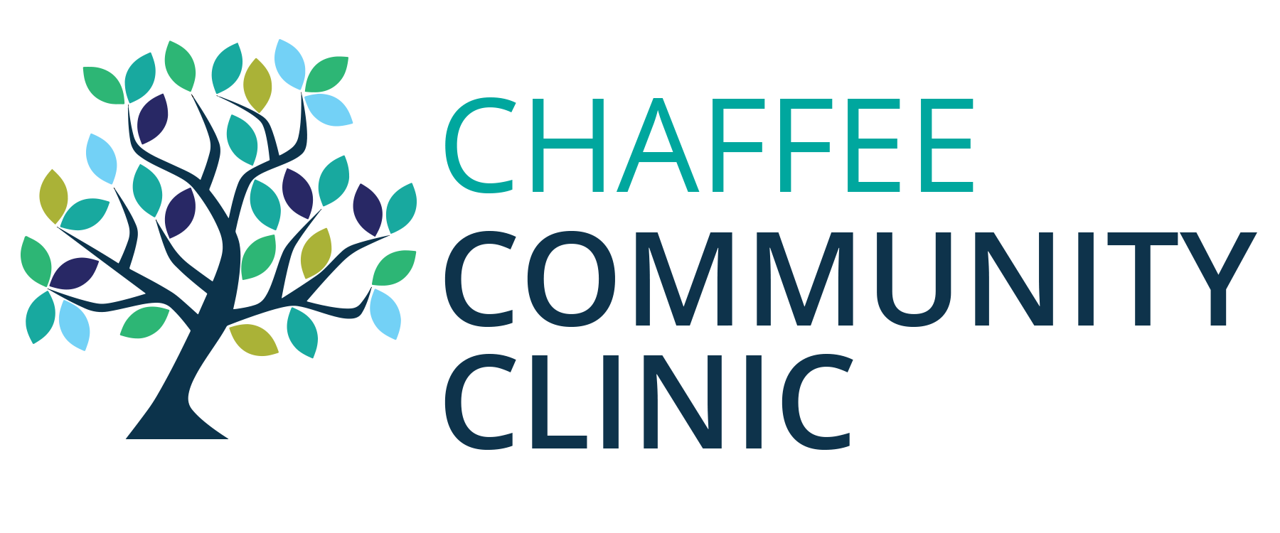 Chaffee Community Clinic - FREE basic medical, dental & harm-reduction services.